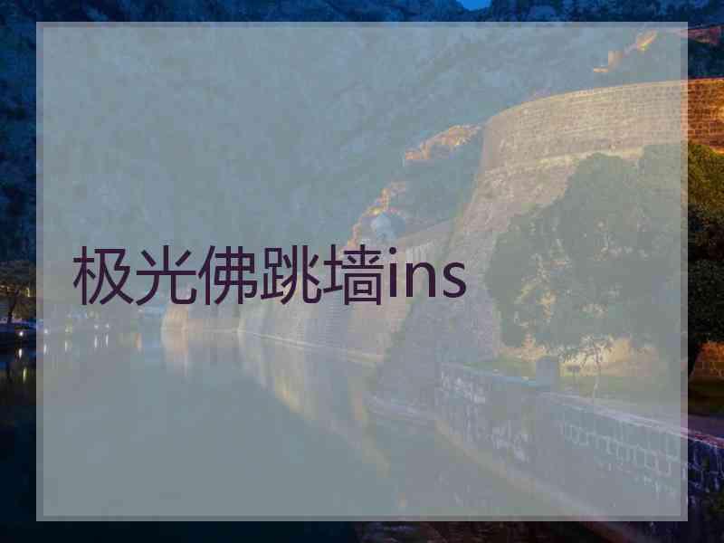 极光佛跳墙ins
