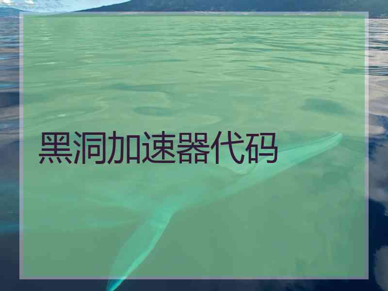 黑洞加速器代码
