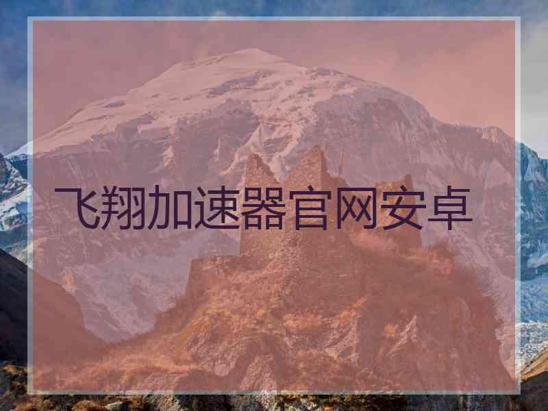 飞翔加速器官网安卓