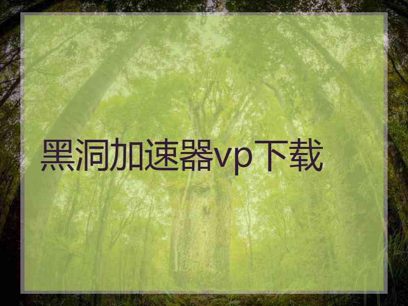 黑洞加速器vp下载