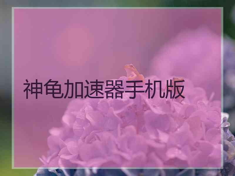 神龟加速器手机版