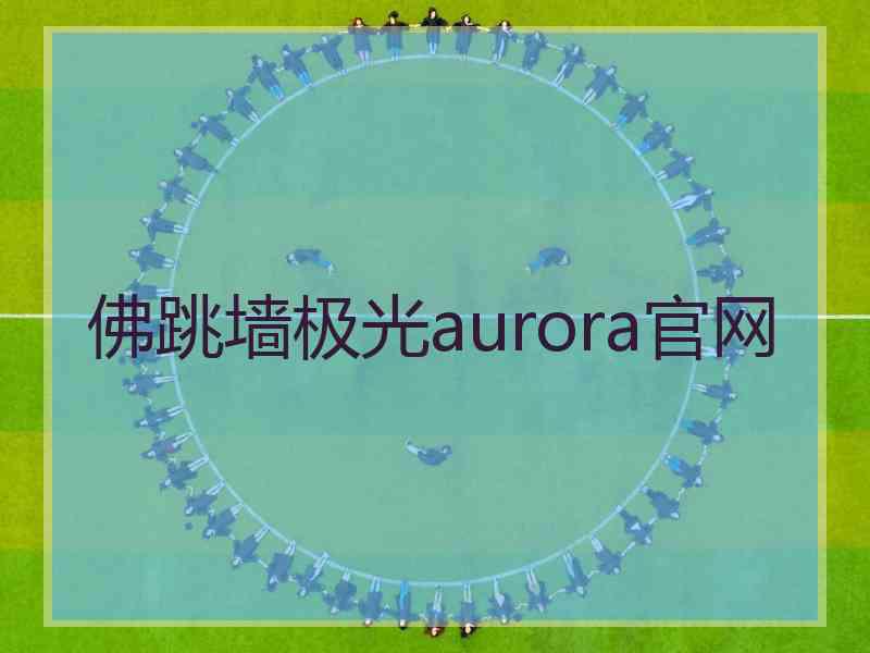 佛跳墙极光aurora官网