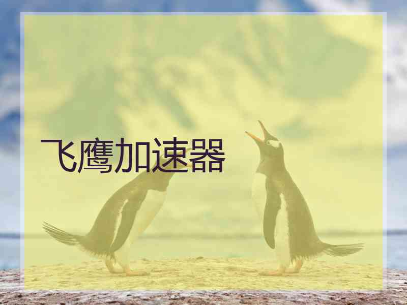 飞鹰加速器