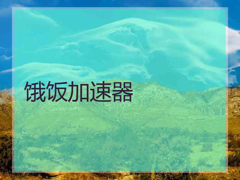饿饭加速器