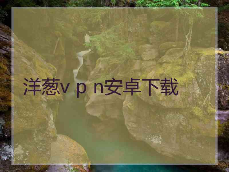 洋葱v p n安卓下载
