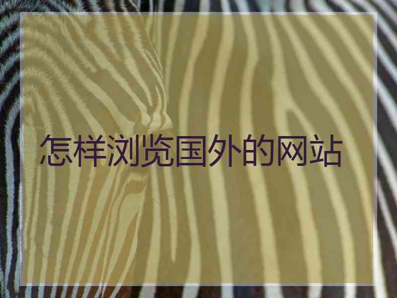 怎样浏览国外的网站