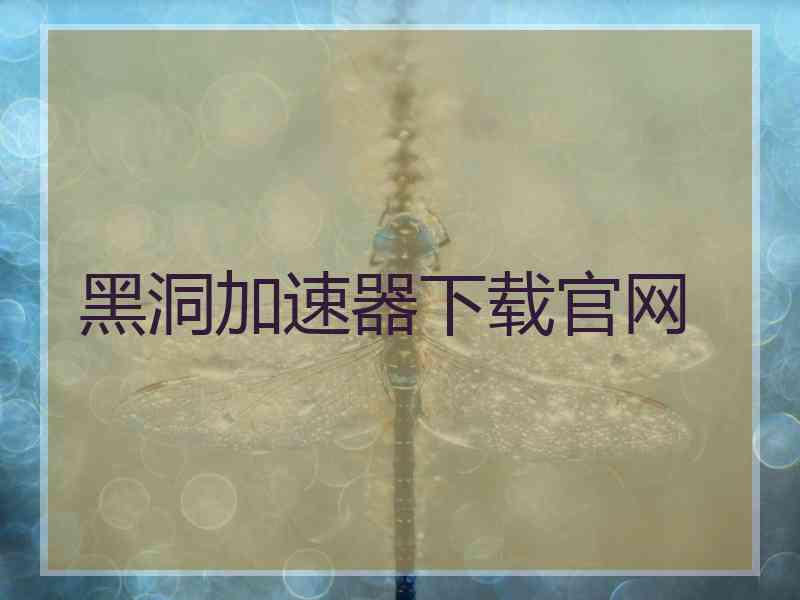 黑洞加速器下载官网