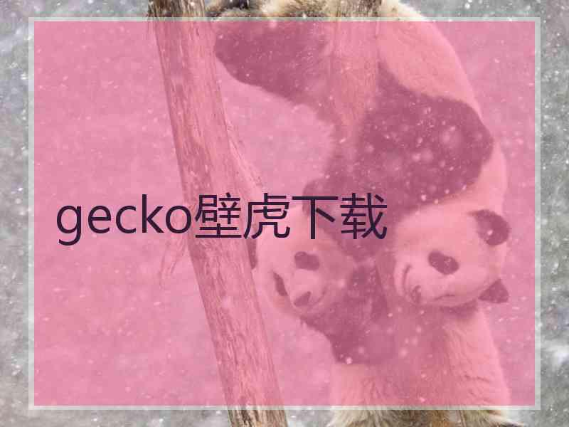 gecko壁虎下载