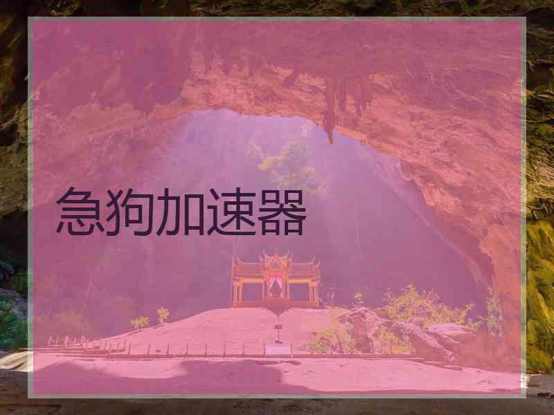 急狗加速器