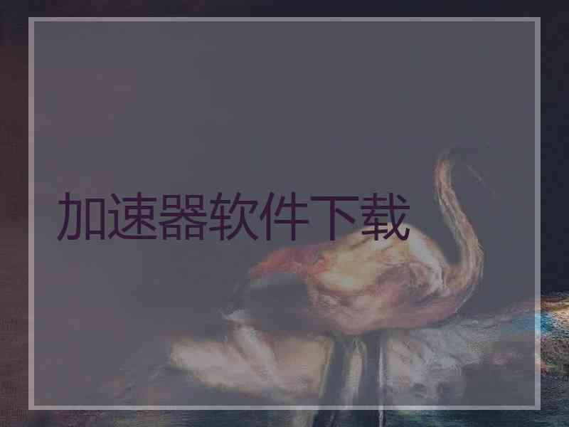 加速器软件下载