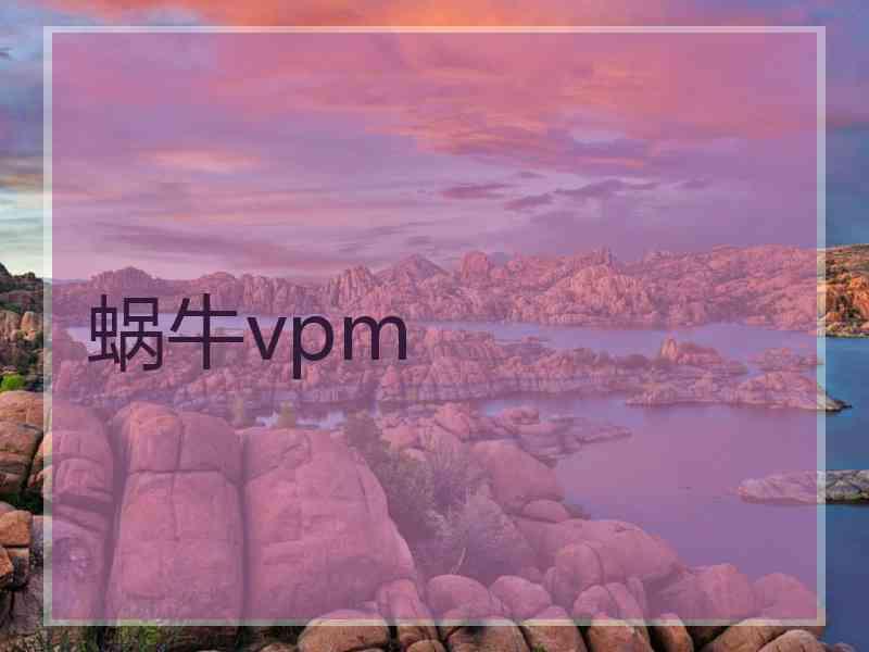 蜗牛vpm