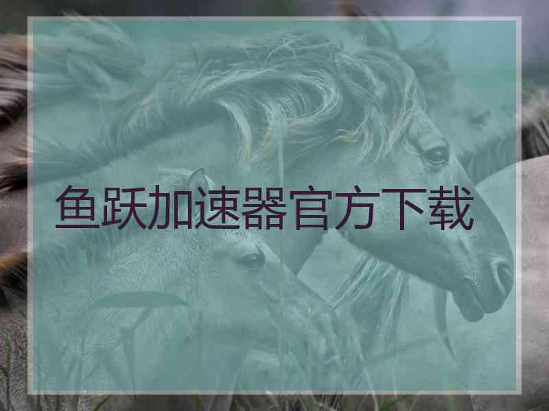 鱼跃加速器官方下载