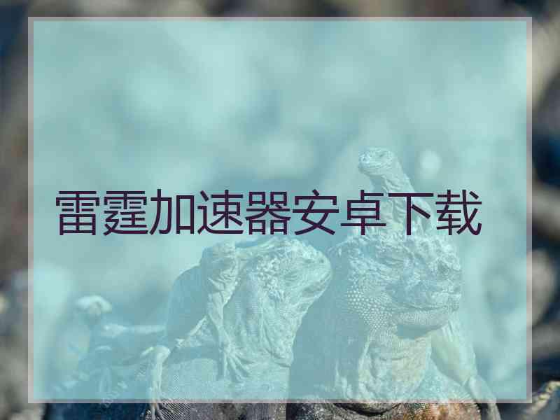 雷霆加速器安卓下载