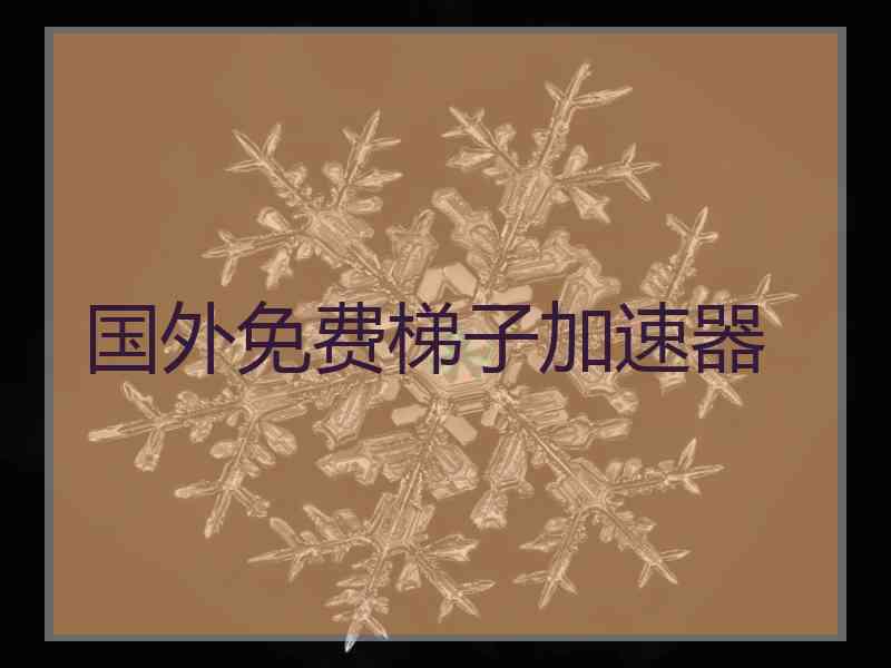 国外免费梯子加速器
