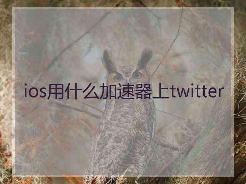 ios用什么加速器上twitter