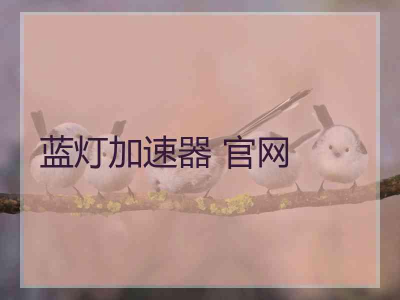 蓝灯加速器 官网
