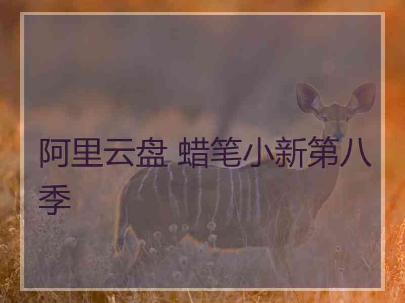 阿里云盘 蜡笔小新第八季