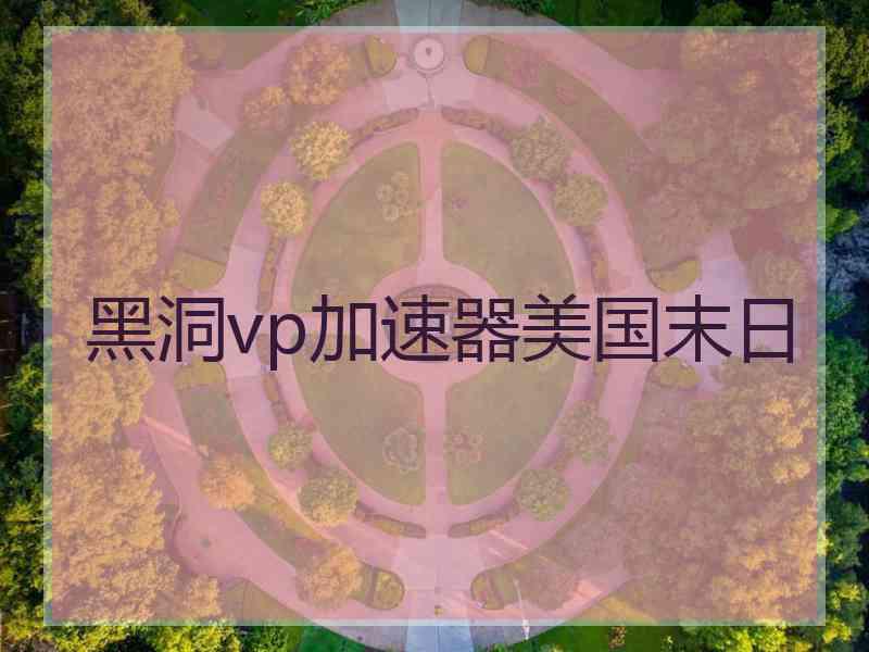 黑洞vp加速器美国末日