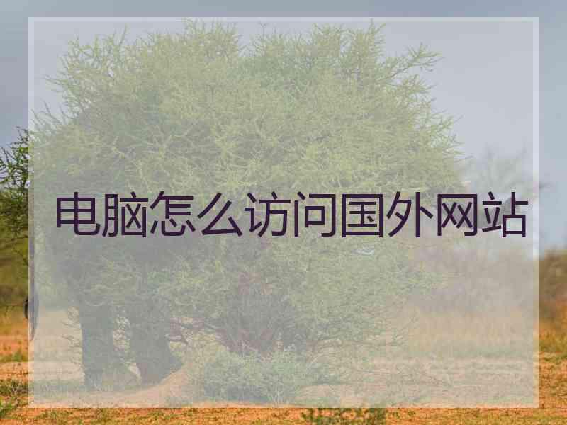 电脑怎么访问国外网站