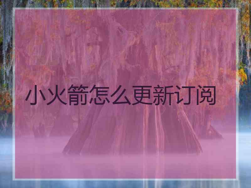 小火箭怎么更新订阅