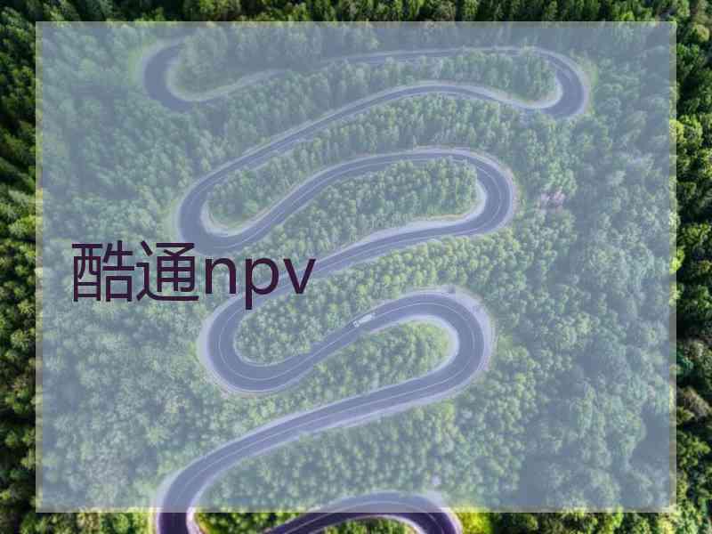 酷通npv