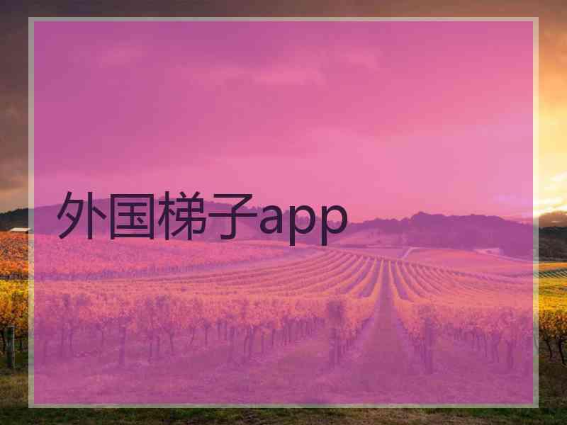 外国梯子app