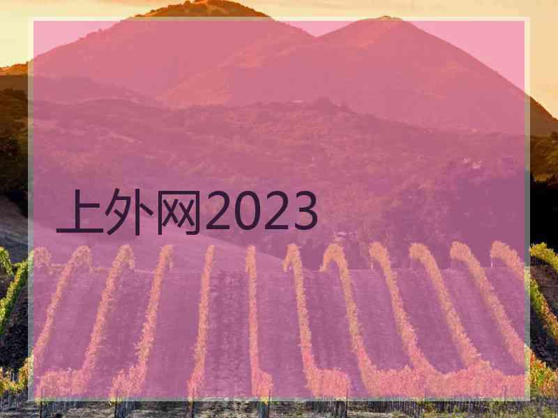 上外网2023