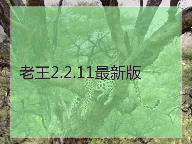 老王2.2.11最新版
