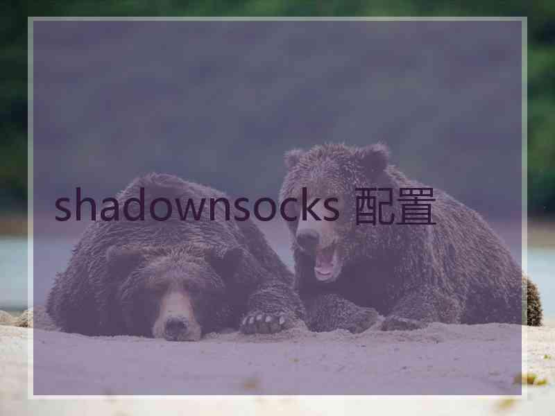 shadownsocks 配置