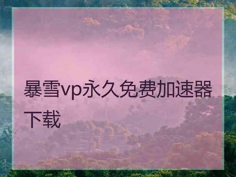 暴雪vp永久免费加速器下载