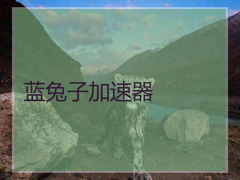 蓝兔子加速器