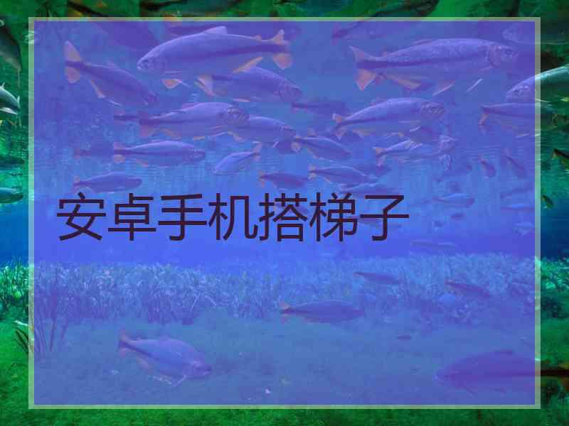 安卓手机搭梯子