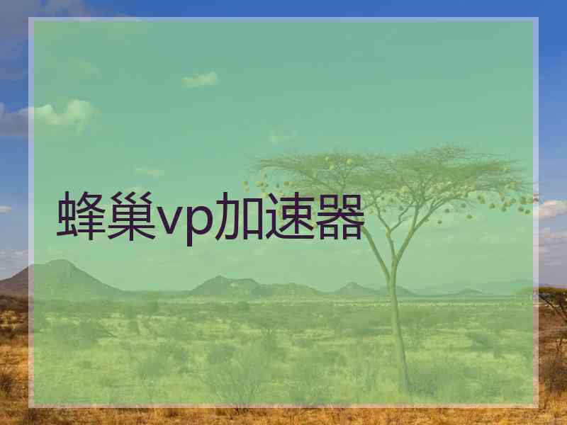 蜂巢vp加速器