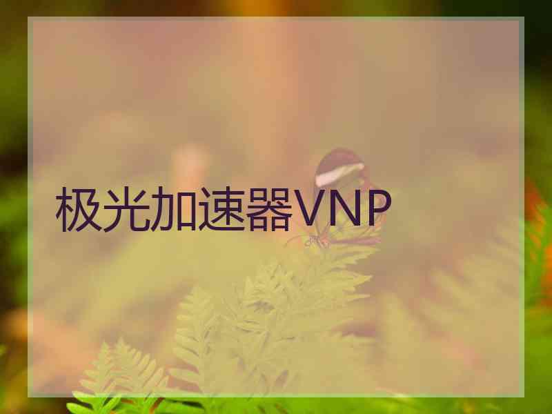 极光加速器VNP