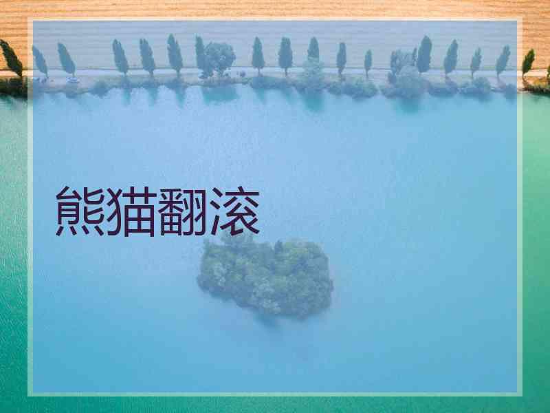 熊猫翻滚