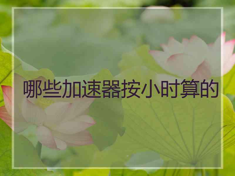 哪些加速器按小时算的