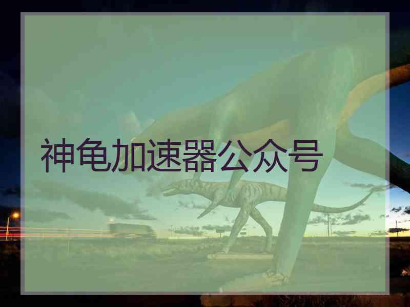 神龟加速器公众号