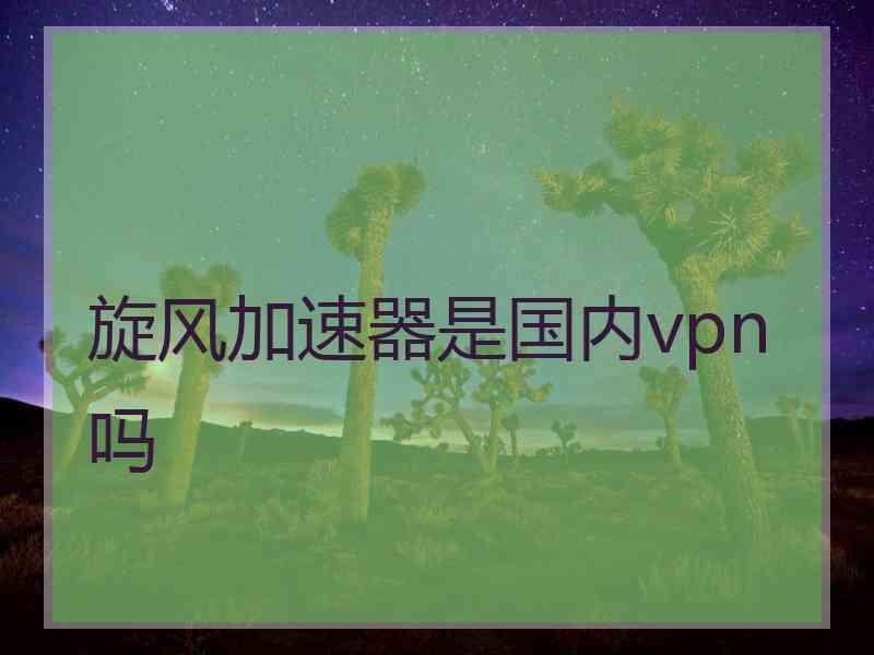 旋风加速器是国内vpn吗