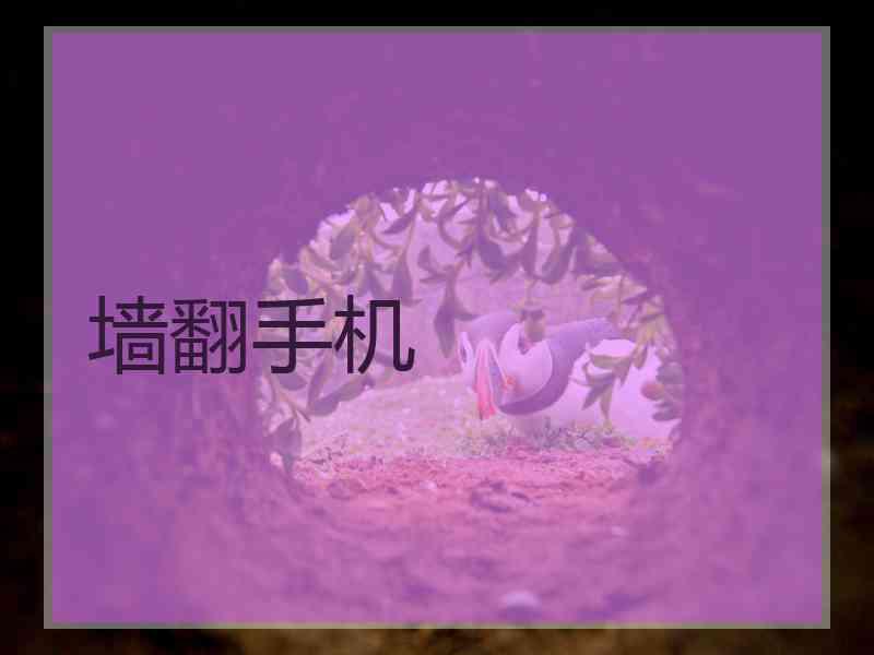 墙翻手机