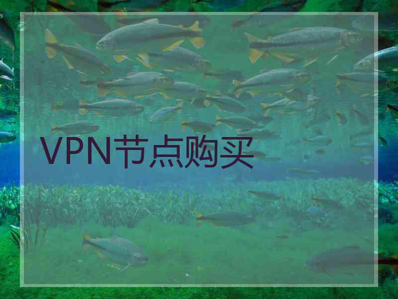 VPN节点购买