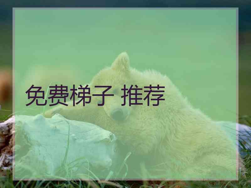 免费梯子 推荐