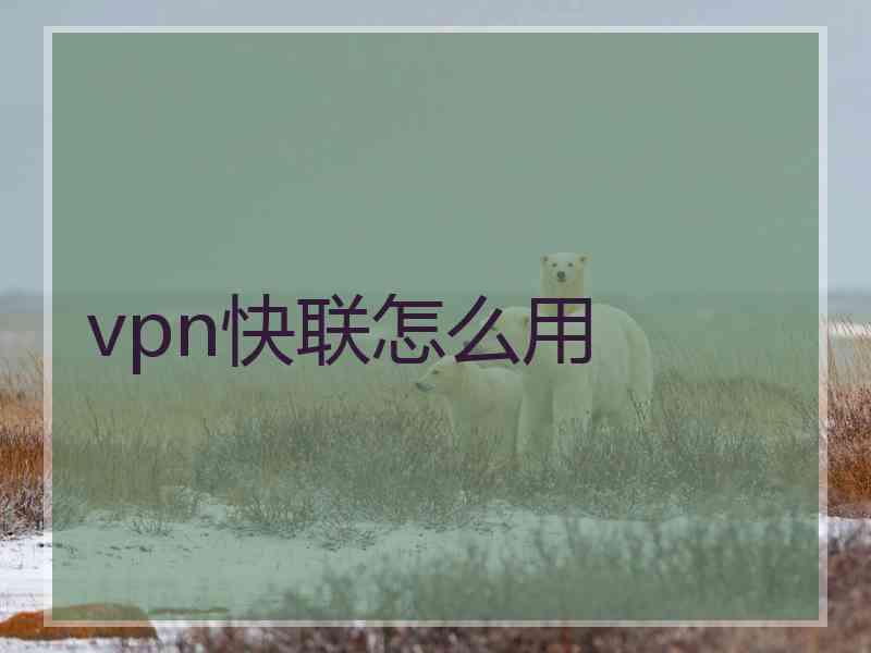 vpn快联怎么用