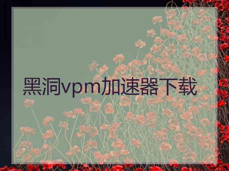 黑洞vpm加速器下载