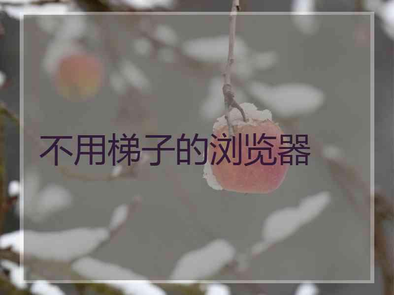 不用梯子的浏览器
