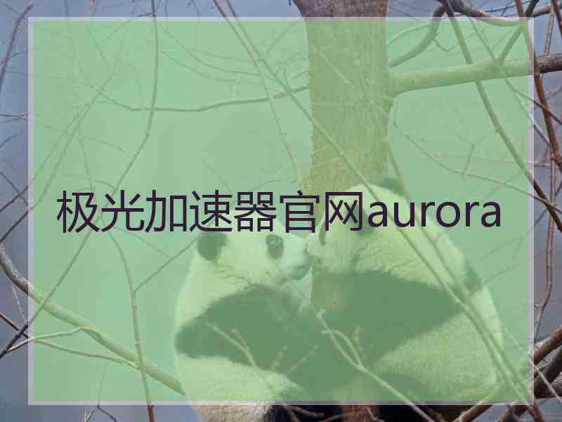 极光加速器官网aurora