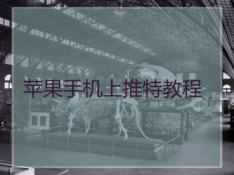 苹果手机上推特教程