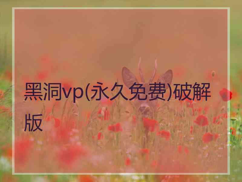 黑洞vp(永久免费)破解版