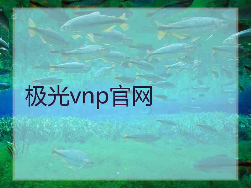 极光vnp官网