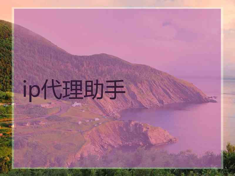ip代理助手