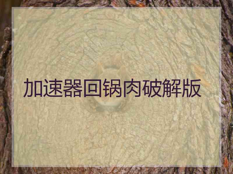 加速器回锅肉破解版